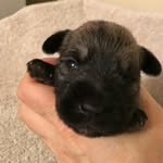 madison paige baskin - @madi_baskin_15 - Instagram