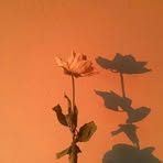 Madison Beall - Facebook