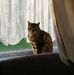 Madison Belcher - Facebook