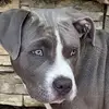 user548217003328 - @madison.bever - TikTok