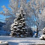 Madison Fecteau-Bolduc - Facebook