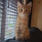 Madison Bouchard - Facebook