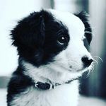Madison - @madisonboucher22 - Instagram