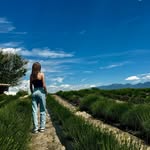Madison Boucher - @madison_boucher4 - Instagram