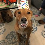 Madison Boucher - @madison.b_lovesher_dog - Instagram