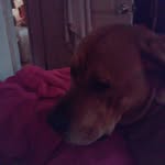 madison bowles - @kristinbowles8376 - Instagram