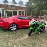 Madison Brabham - @maddybr2000 - Instagram