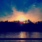 MadisonBrainard - @madison_brainard - Instagram