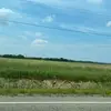brock.madison14 - @brock.madison14 - TikTok