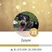Madison Broussard - Facebook