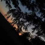 Madison Byrum Johnson - @gods_creation_through_me - Instagram
