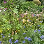 Madison 🎈 - @madison_calkins - Instagram