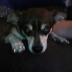 madison hope calkins - @madisoncalkins11 - Instagram