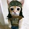 madison casares cruz - @madison6703casares - TikTok
