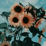 madison - @madison_castor1 - Instagram