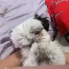 madisoncazares45 - @madison.cazares7 - TikTok