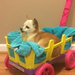 Madison Chafin - Facebook