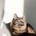 Kobay Madison Myla Chase - Facebook