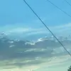 Madisoncow_01 - @madisoncoe967 - TikTok