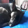 Madison Colley - @madison.colley7 - TikTok