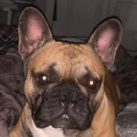 Madison Paige Colley - @madison__colley_ - Instagram