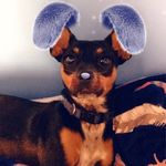Madison Corbett - @siren2006blue - Instagram