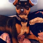Madison Corbett - @siren2006pink - Instagram