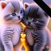 Madison Correa - Facebook