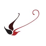 Madison Star Couture - @madisonstarcouture - Instagram
