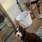 Madison Crabtree - Facebook
