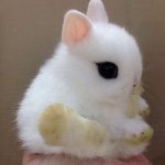 Madisoncrabtree - @madisoncrabtree445 - Instagram