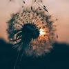 madison.creech23 - @madison.creech23 - TikTok