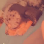 Madison Crowson - Facebook