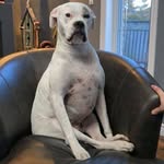 Madison Cushing - @madicushing - Instagram