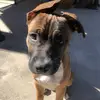 madisondaily737 - @madisondaily737 - TikTok