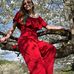 Maddie Damron - Facebook