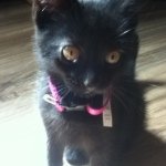 Madison Hope Damron - @23hellokitty2008 - Instagram