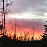 Madi246 - @madison.dellinger - Instagram