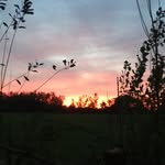 Madisondellaquilaphotography - @madisondellaquilaphotography - Instagram
