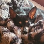 Madison DeVault - Facebook