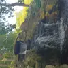 Madison Dillard - @madison.dillard2 - TikTok