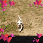 Madison Dillingham - Facebook