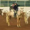 maddys.barn_acc - @madison.dodds_ - TikTok