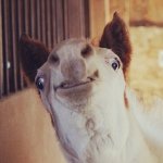 @_madisondunkley_backup - Instagram