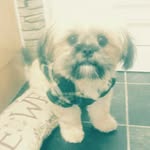 Teddybear - @madisoneaves07 - Instagram