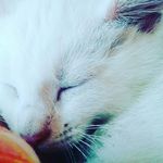 Madison Elam - @madisone5709 - Instagram