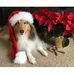 Madison Mcfarland Elwell - Facebook