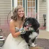 madisonengel3 - @madisonengel3 - TikTok