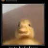 madison.engel - @madison.engel - TikTok