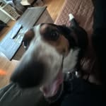 Madison Engle - @maditude1233 - Instagram
